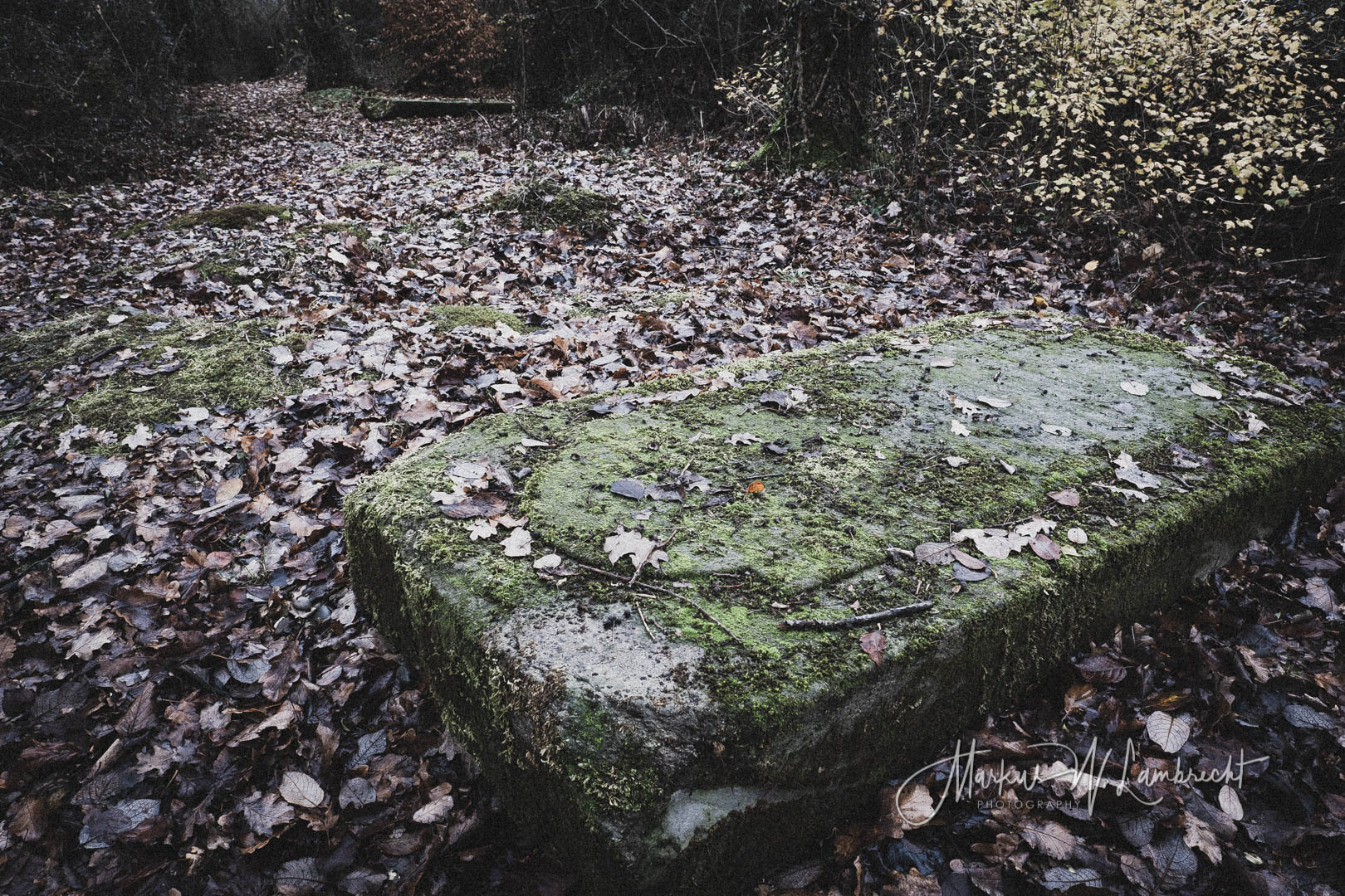 Bovenden, Jüdischer Friedhof